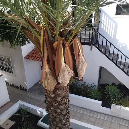 Ama Tenerife Grande Terraza