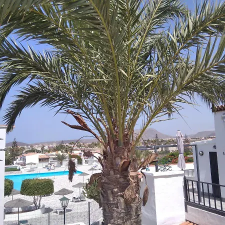 Ama Tenerife Grande Terraza Appartement