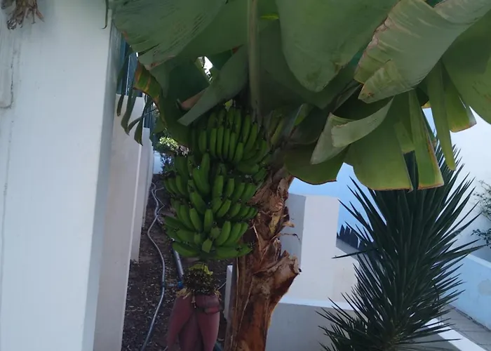 Ama Tenerife Grande Terraza *