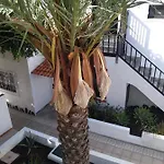Ama Tenerife Grande Terraza