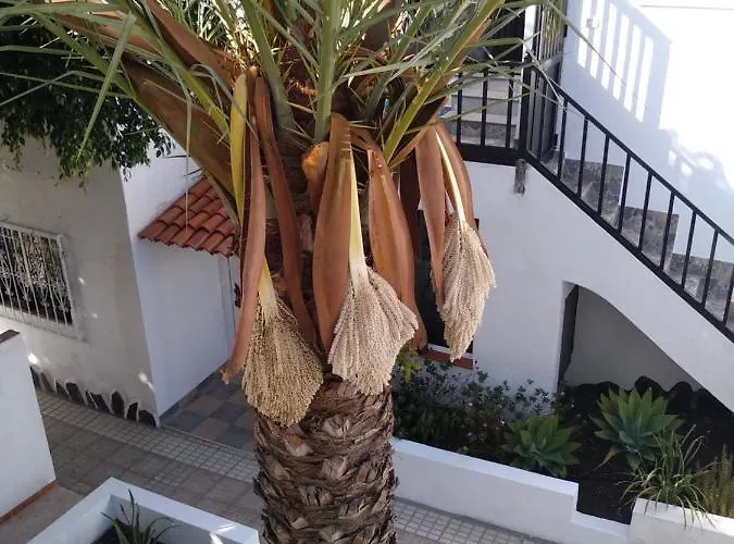 Ama Tenerife Grande Terraza