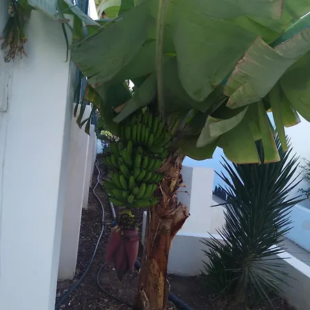 Ama Tenerife Grande Terraza *