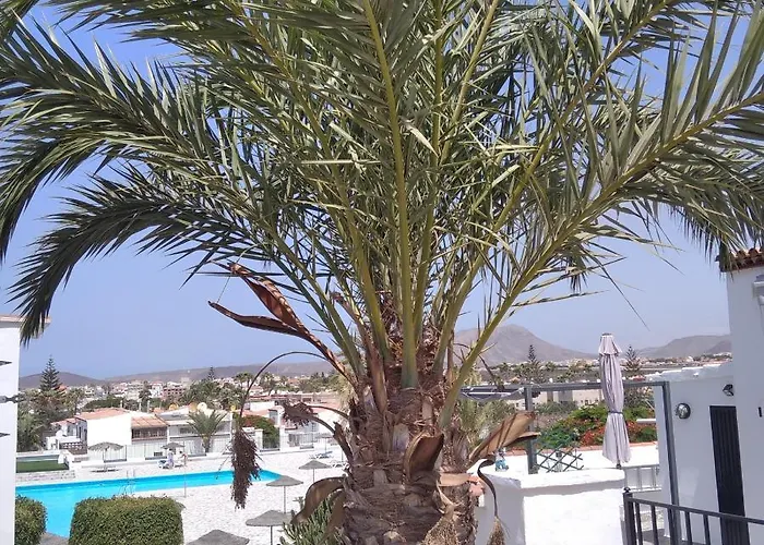 Ama Tenerife Grande Terraza Apartamento